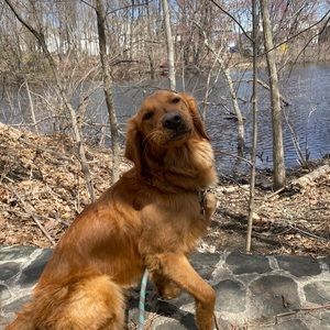 Meet your Posher, Jess